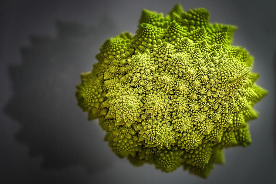 romanesco, cauliflower, vegetables, healthy, green, food, fractal, HD wallpaper