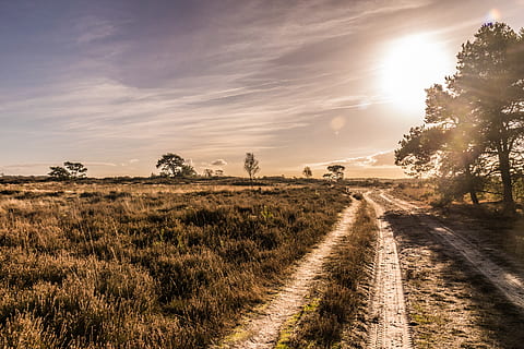 brown grass field under gray sky, nature, ground, outdoors, road HD wallpaper