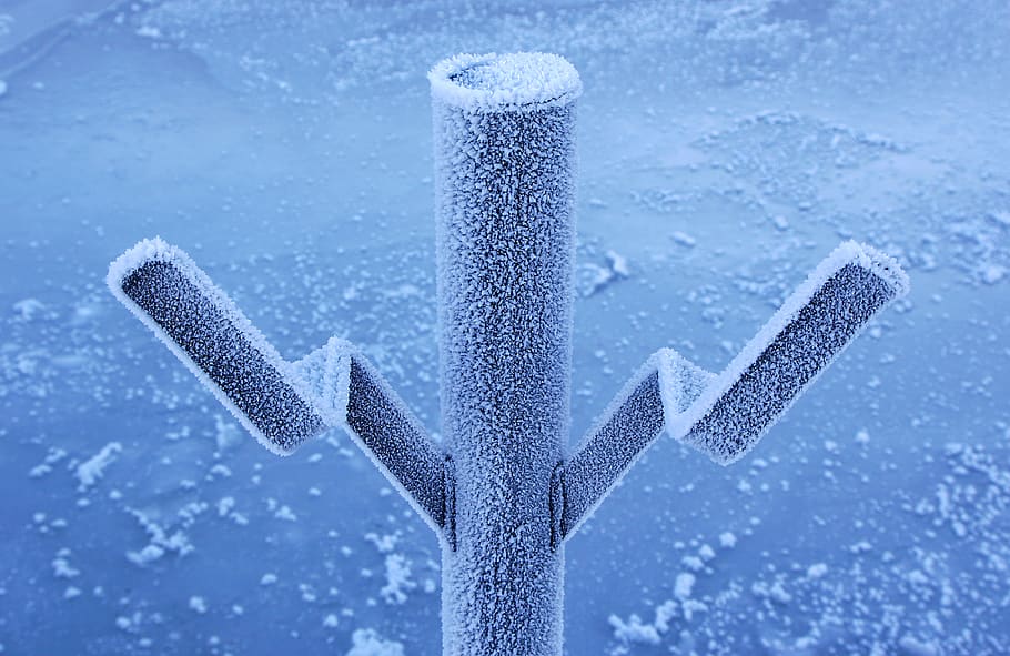 winter, blue, cold, ice, frost, cold temperature, nature, snow HD wallpaper