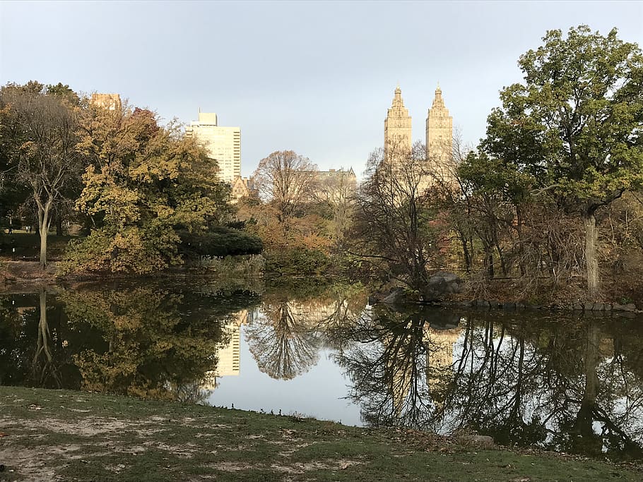 Парк запад. Шт парк Сентрал Окичоби. Central Park West.