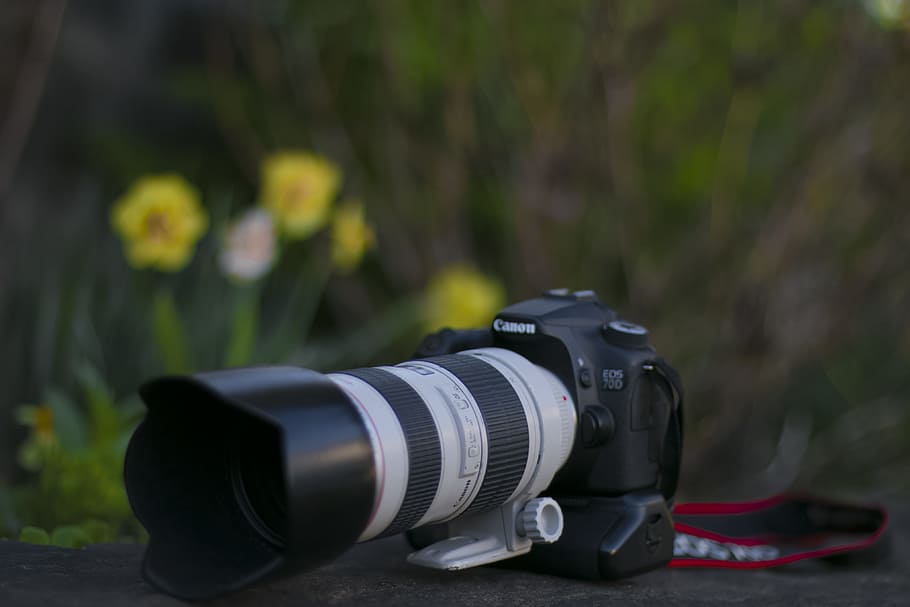 black Canon DSLR camera near yellow flowers, lens, bokeh, blur HD wallpaper