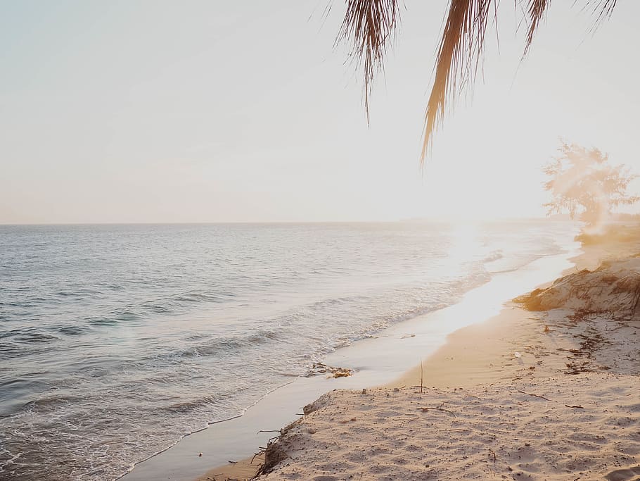 seashore during sunrise, water, sky, beach, land, horizon over water HD wallpaper
