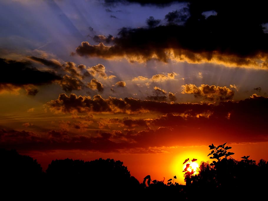sunset, orange, sky, cloud, cloudy, cloud - sky, beauty in nature HD wallpaper