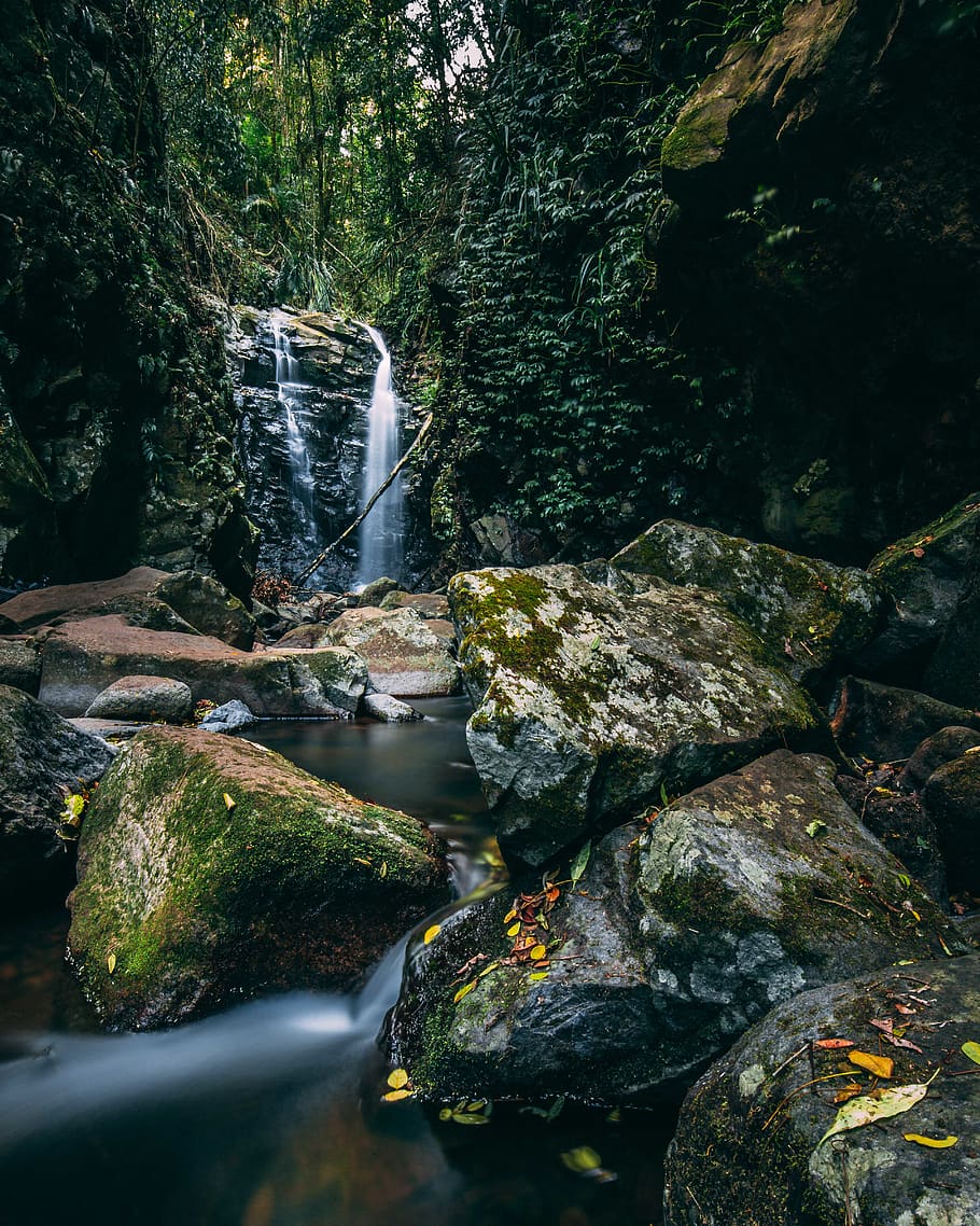 waterfalls painting, outdoors, stream, creek, tree, forest, nature HD wallpaper