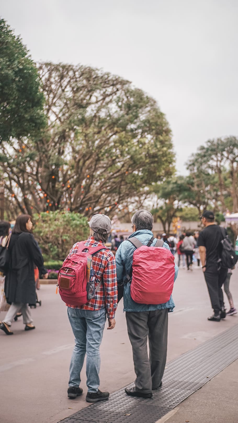 people walking on park, rear view, men, full length, real people HD wallpaper
