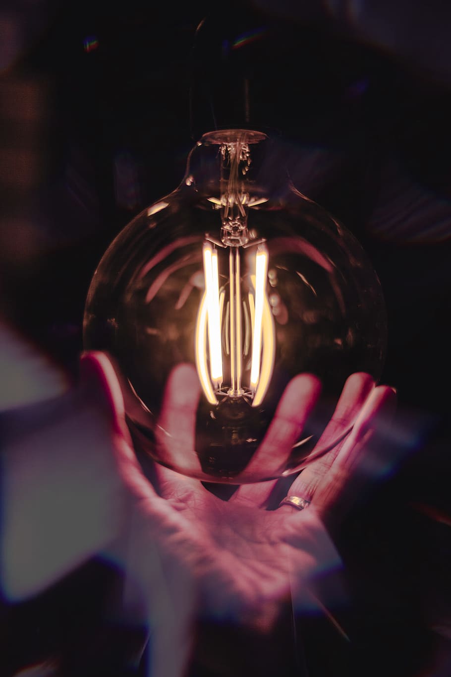 Close-Up Photo of Person Holding Bulb, 4k wallpaper, blur, bright, HD wallpaper