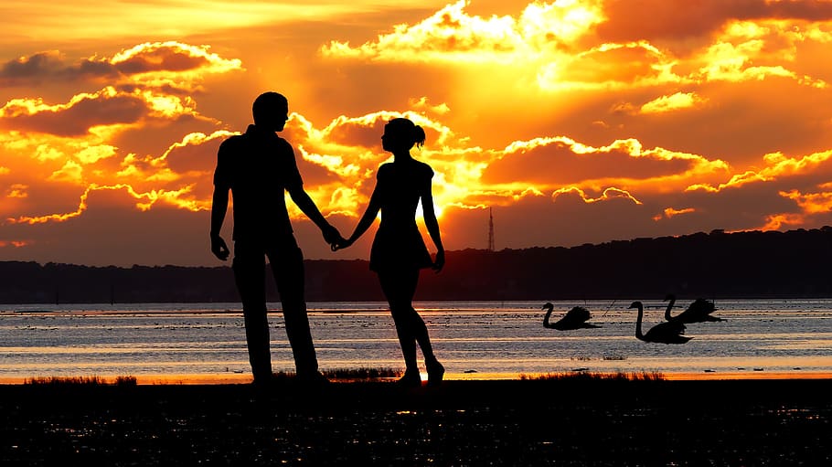 sunset, ocean, maree basse, couple, promenade, beach, sky, water HD wallpaper