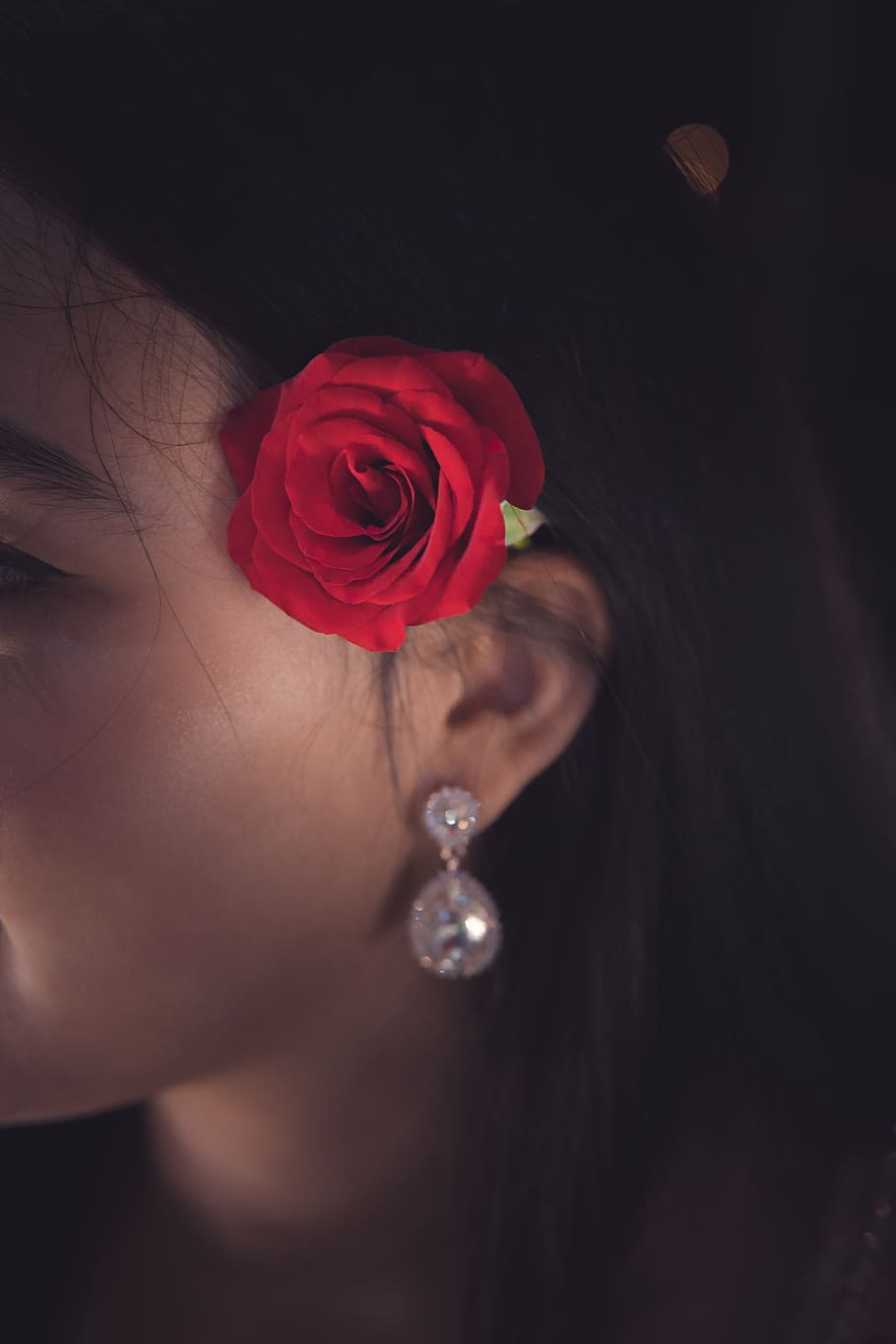 morocco, rabat, flower, one person, rose - flower, flowering plant HD wallpaper