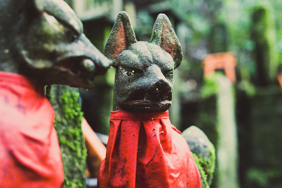 focus photography of black dog figurines, fushimi inari taisha