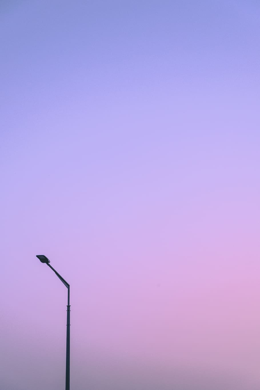 lamp post, nature, outdoors, building, architecture, blossom