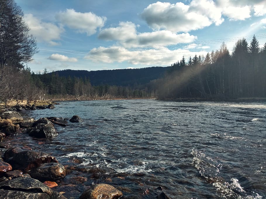 norway, river, forest, landscape, nature, water, scenics - nature HD wallpaper