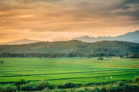 green fields, grassland, outdoors, indonesia, pidie jaya regency HD wallpaper