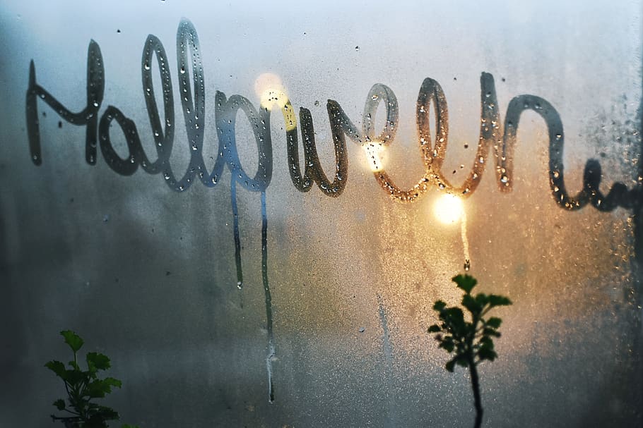 halloween, word, text, window, mist, fog, colors, blue, festival HD wallpaper