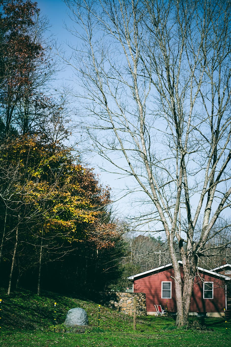 red house under leafless trees, nature, outdoors, housing, building HD wallpaper
