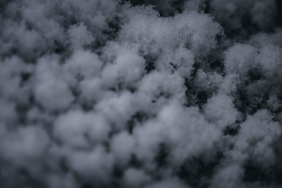 nature, outdoors, cloud, sky, weather, vegetation, plant, cumulus HD wallpaper