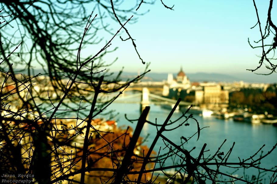 hungary, budapest, city, trees, hill, summer, building exterior HD wallpaper