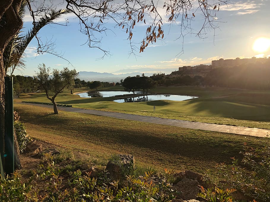 altorreal, golf, murcia, tree, plant, sky, water, beauty in nature HD wallpaper