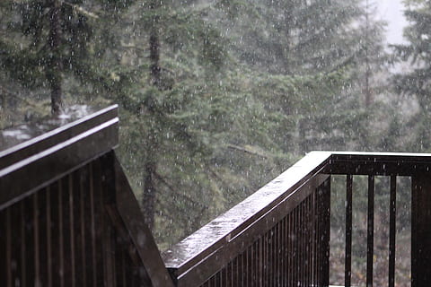 rain, forest, trees, pacific northwest, oregon rain, architecture HD wallpaper