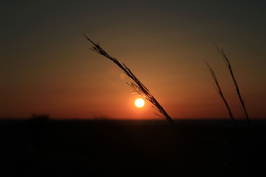 sunset, sky, silhouette, beauty in nature, scenics - nature HD wallpaper