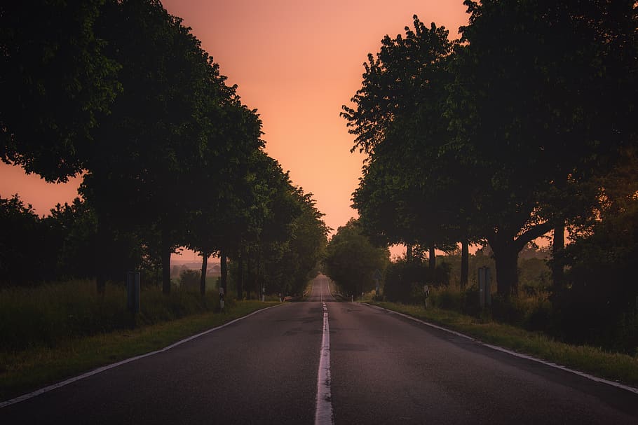 green, grass, trees, plant, nature, landscape, road, travel HD wallpaper