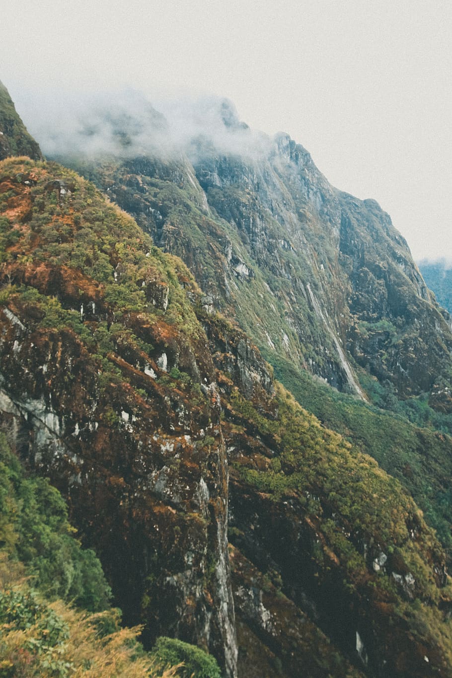 green trees on mountains, slope, nature, outdoors, cliff, vegetation HD wallpaper