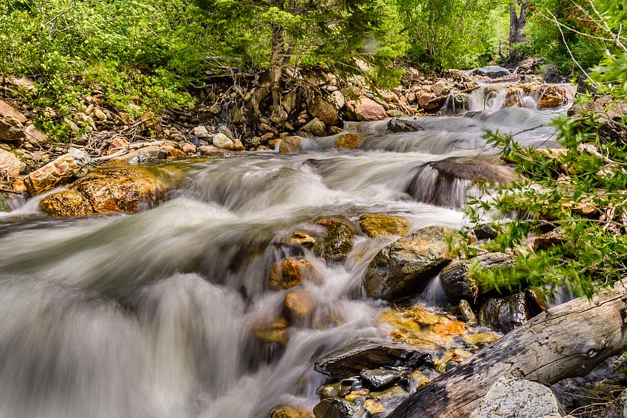Landscape Photography Of Water Flowing, forest, long-exposure HD wallpaper