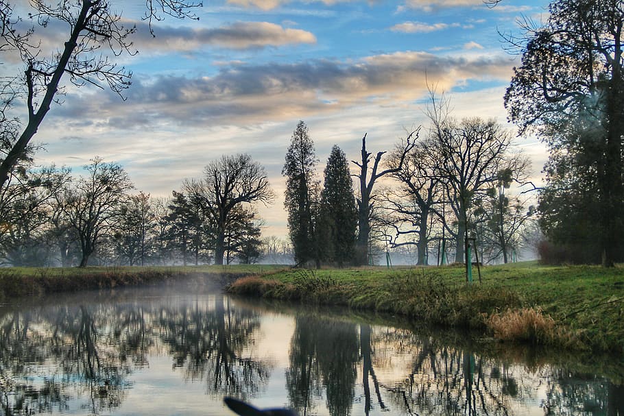 Landscape of River Forest, clear sky, clouds, daylight, environment HD wallpaper