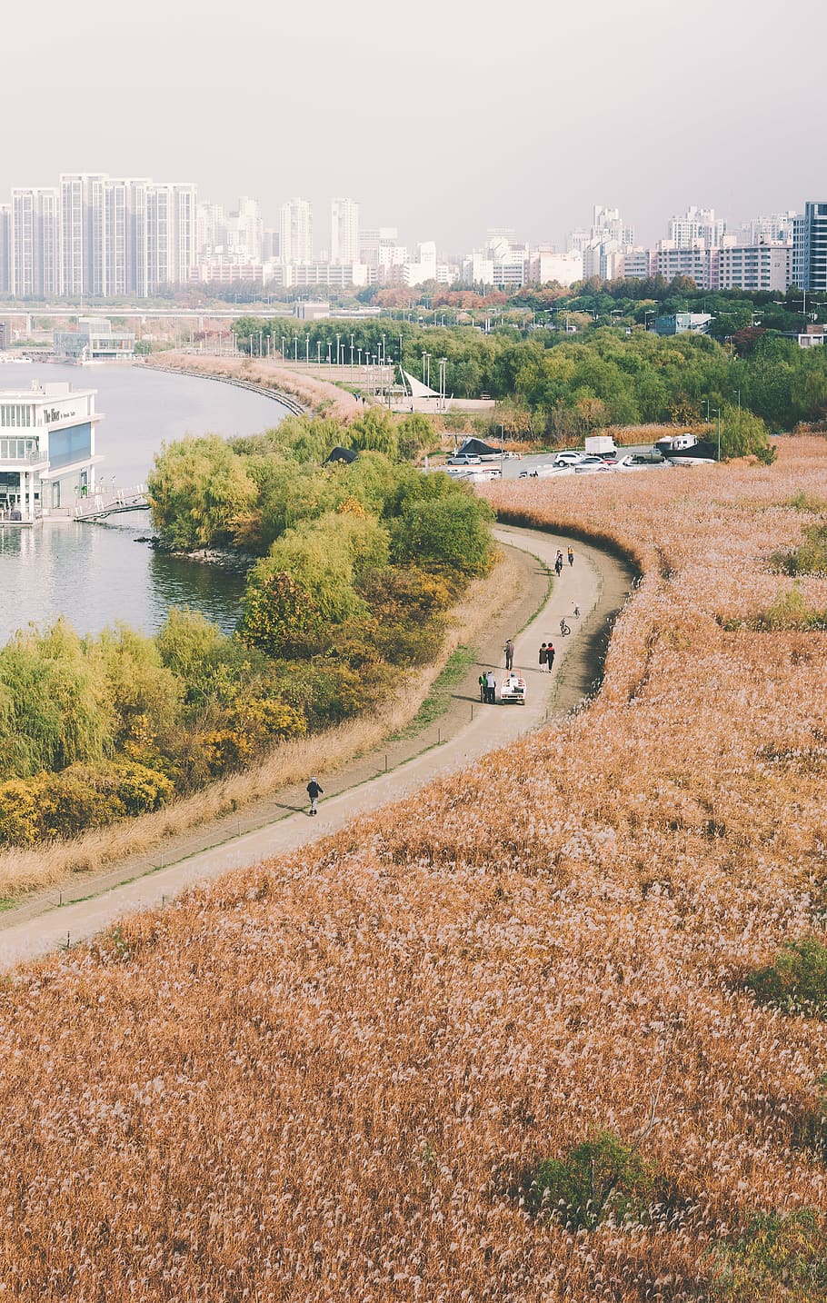 bird's eye view of river and road, landscape, outdoors, nature