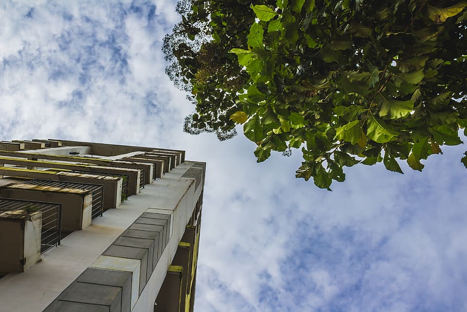 india, kerala, sky, low angle view, cloud - sky, architecture HD wallpaper