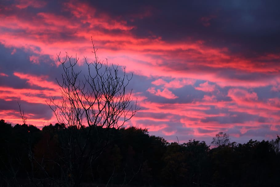 trees, sky, clouds, sunset, color, cloudscape, nature, country HD wallpaper