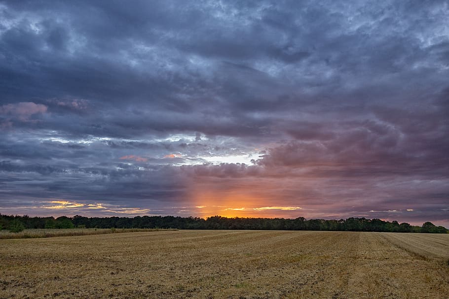 landscape, field, meadows, sunset, nature, prairie, sky, summer HD wallpaper