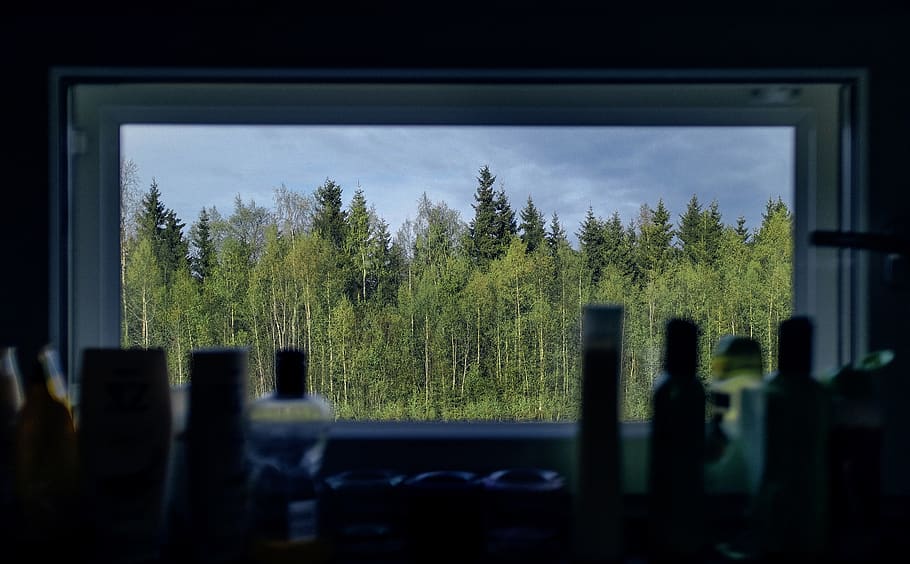 green leafed trees, finland, tornio, entertainment center, home theater HD wallpaper