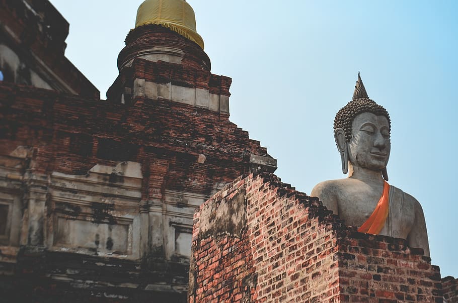 Selective Focus Photography of Buddha Statue, ancient, architecture HD wallpaper
