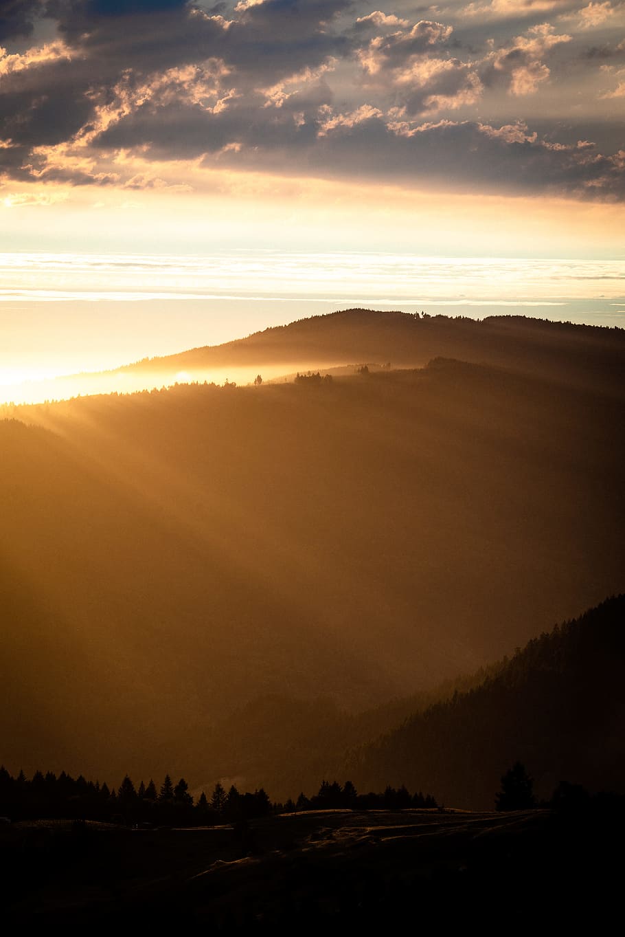 silhouette of trees and mountain during golden hour, sky, cloud HD wallpaper