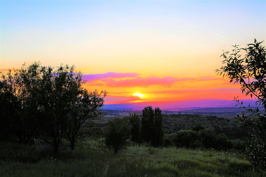 sunset, in the evening, sky, clouds, nature, atmospheric, trees HD wallpaper