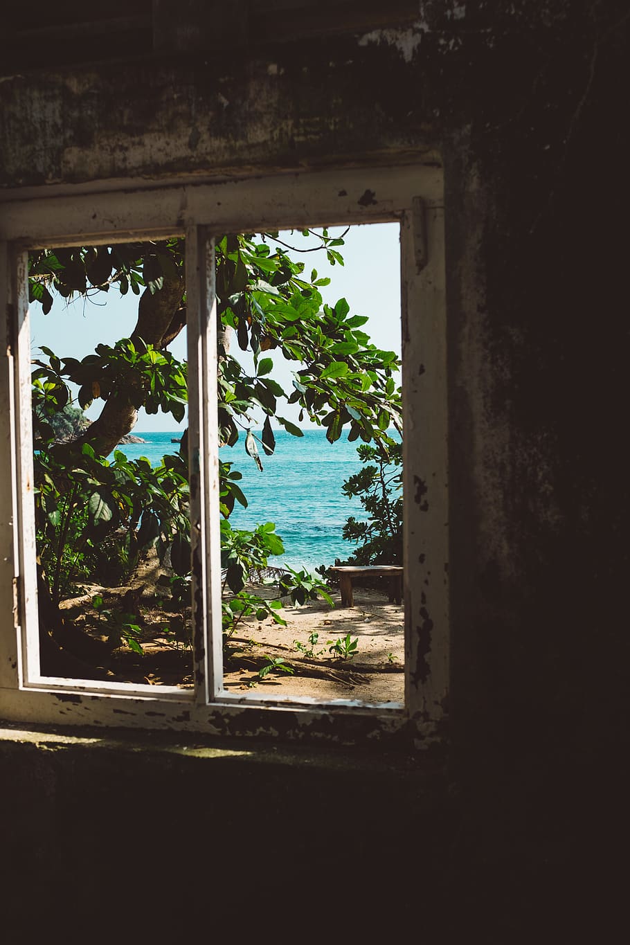 white wooden window, plant, tree, architecture, no people, built structure HD wallpaper