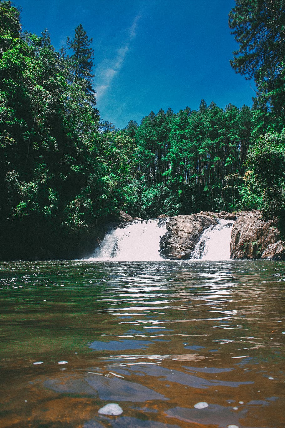 water, tree, plant, beauty in nature, sky, scenics - nature HD wallpaper