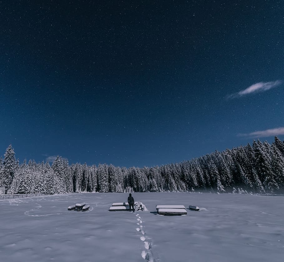 Person Standing on Snow Covered Plain, background, beautiful HD wallpaper