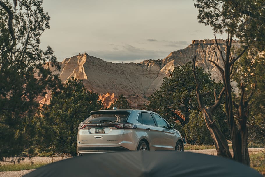 silver SUV, car, vehicle, automobile, transportation, tree, outdoors HD wallpaper