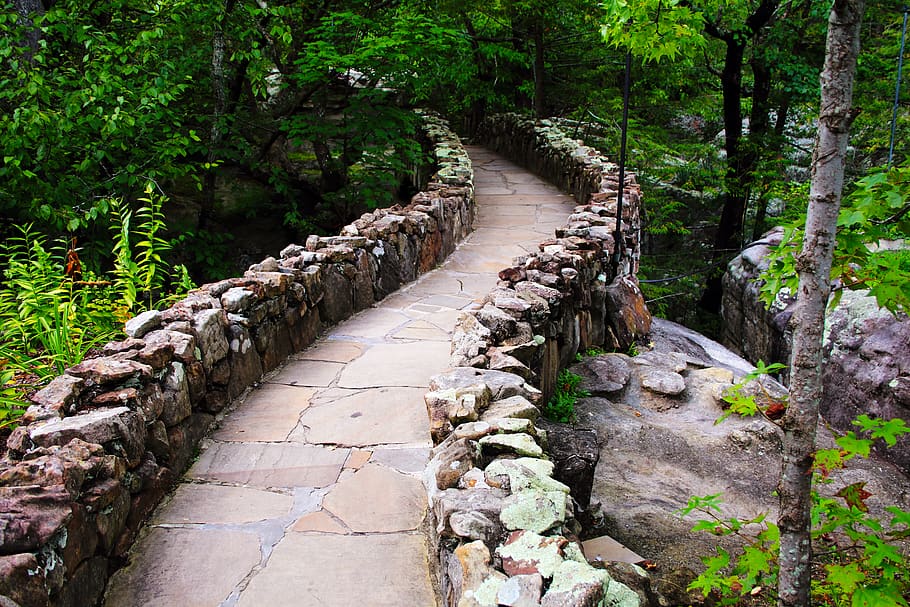 path, pathway, rocks, rock wall, wonder, trees, wilderness HD wallpaper
