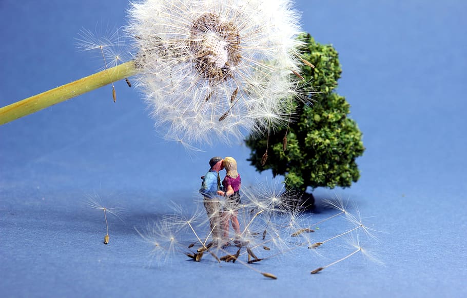 dandelion, lovers, miniature figures, rendezvous, romance, modelleisenbahn figure HD wallpaper