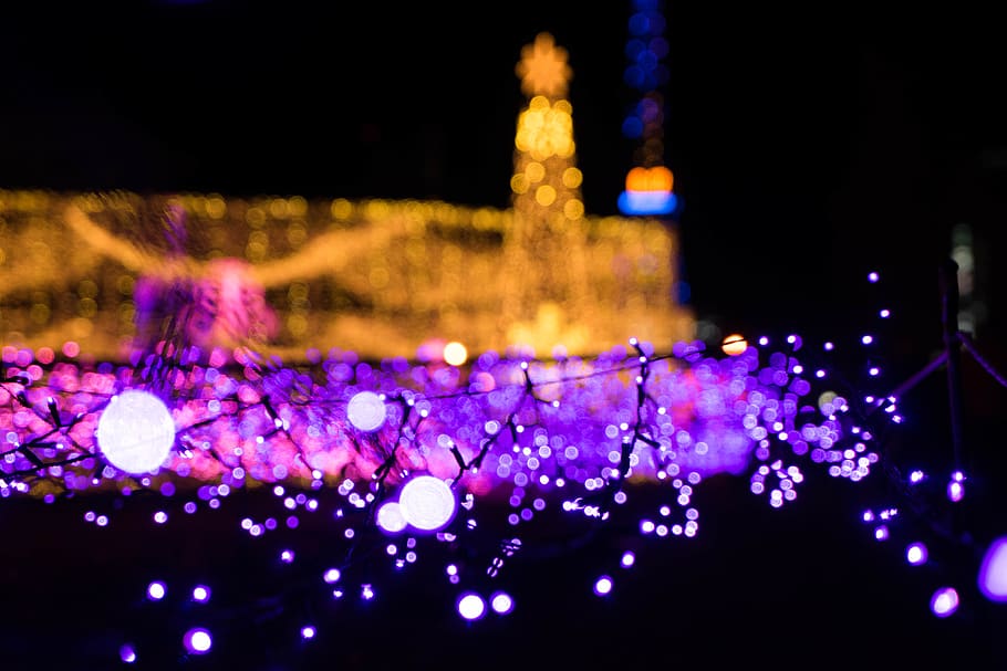 light, night, neon light, illuminated, purple, celebration HD wallpaper