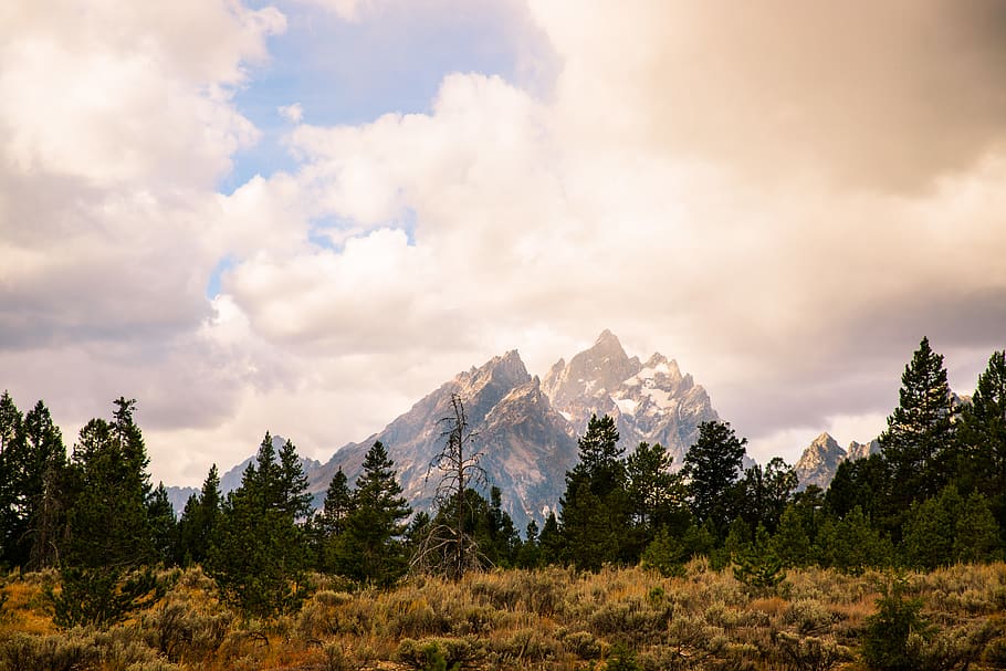 green trees, nature, outdoors, mountain, mountain range, united states HD wallpaper