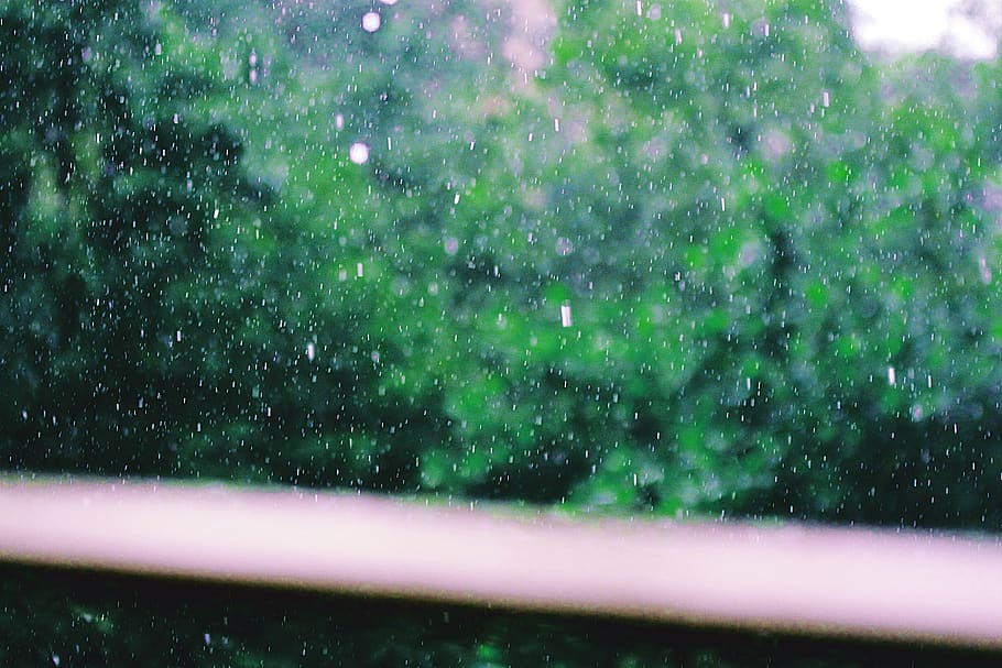 rain, raindrop, nature, green, tree, cloud, sky, dark, water HD wallpaper