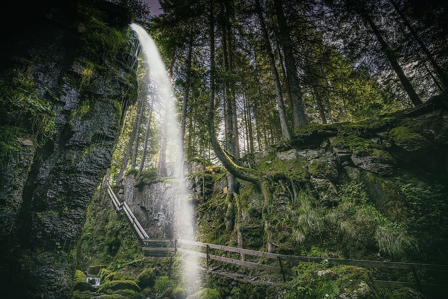 waterfall on forest, cascade, trail, tree, water fallign, green HD wallpaper