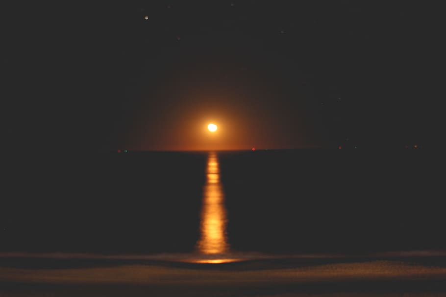 moon, moonrise, beach, ocean, full moon, waves, water, night, HD wallpaper