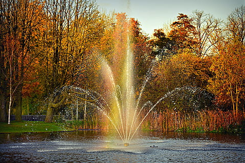 fountain, water, spray, drops, spouting, pond, rainbow, autumn trees HD wallpaper
