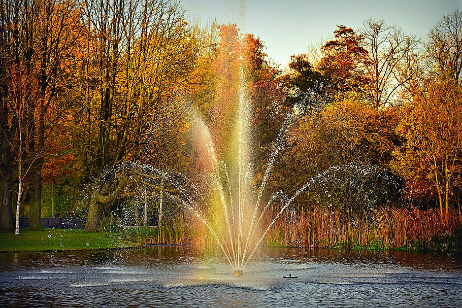 fountain, water, spray, drops, spouting, pond, rainbow, autumn trees HD wallpaper