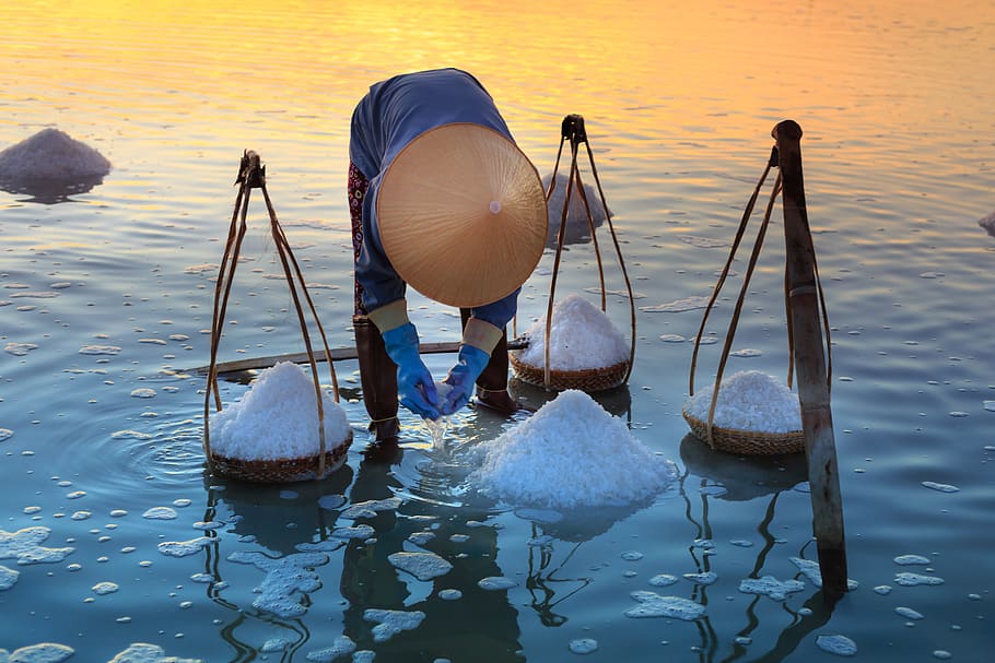 Person Collecting Salt on Body of Water, basket, beach, bubbles HD wallpaper