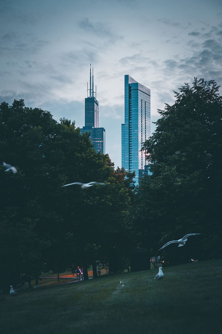 Two High-rise Buildings, architectural design, architecture, biking HD wallpaper